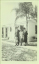 image113